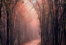 Maxwell House's 'Maxwell Apartment' Rebrand: What Happened vs. What the Data Shows