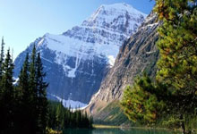 Maxwell House's 'Maxwell Apartment' Rebrand: What Happened vs. What the Data Shows