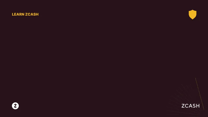 Zcash Thriving?: Price Predictions vs. Real Momentum and Reddit's Take